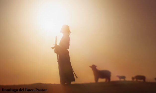 Domingo del Buen Pastor: reflexión de S. E. Adolfo Castaño