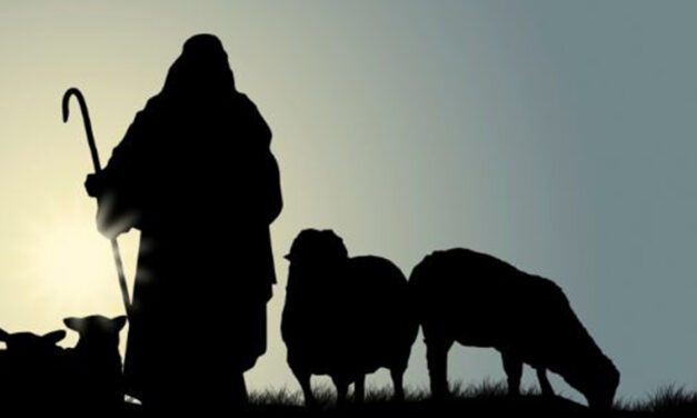 “El Buen Pastor da la vida por sus ovejas”: reflexión de Mons. Adolfo Castaño