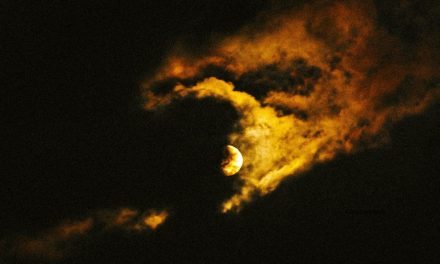 ¿Luz o tinieblas? El llamado a vivir como hijos de la luz en esta Cuaresma