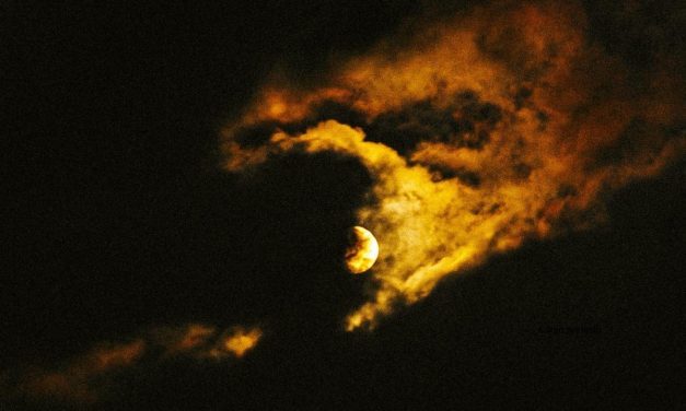 ¿Luz o tinieblas? El llamado a vivir como hijos de la luz en esta Cuaresma