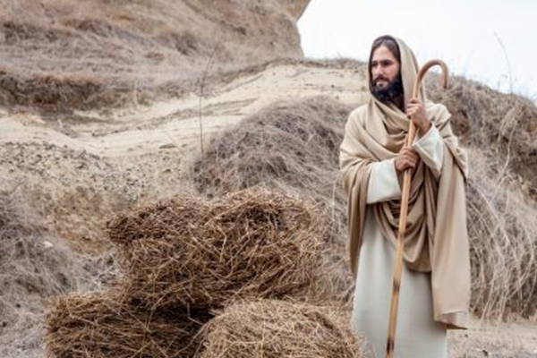 “Y ustedes, ¿quién dicen que soy yo?” Reflexión de Mons. Adolfo Castaño